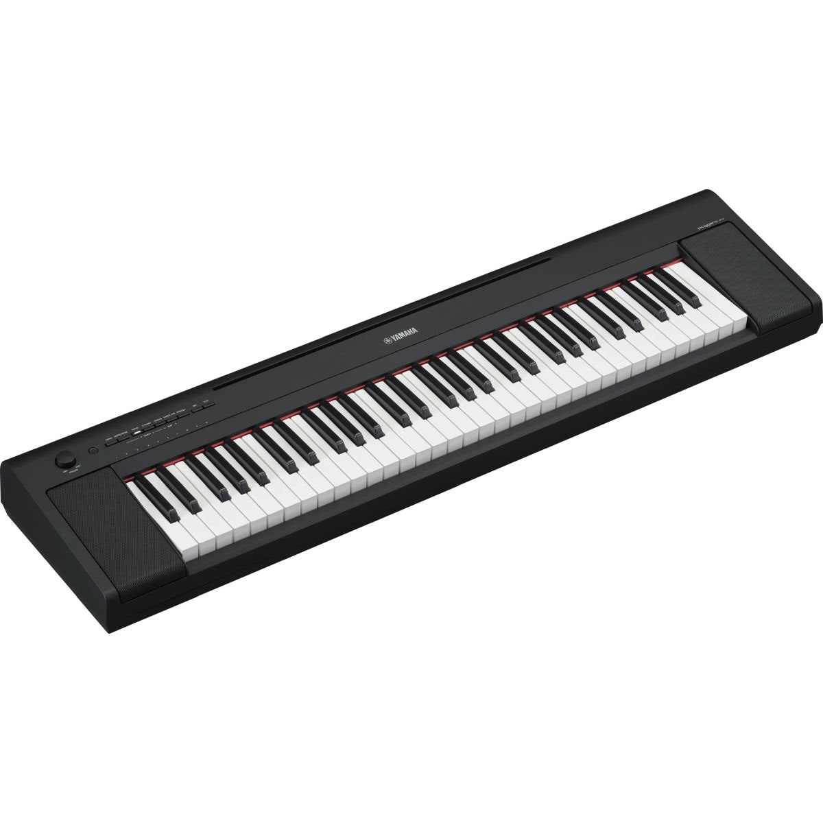 YAMAHA NP15B PIAGGERO.jpg